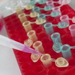 Biomedical Engineering